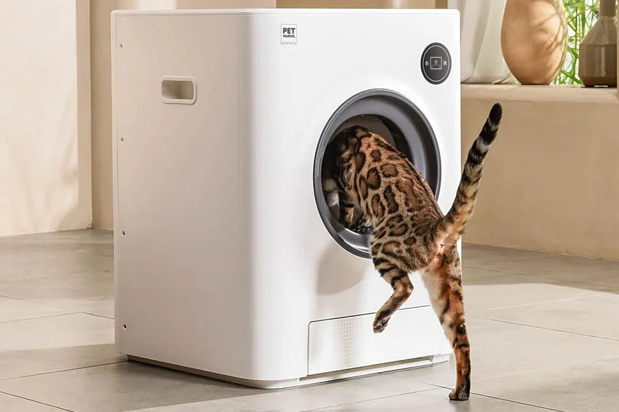 automated litter box